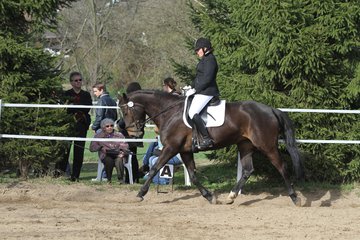 Bild 1157 - WBO-Turnier am 9.4.11